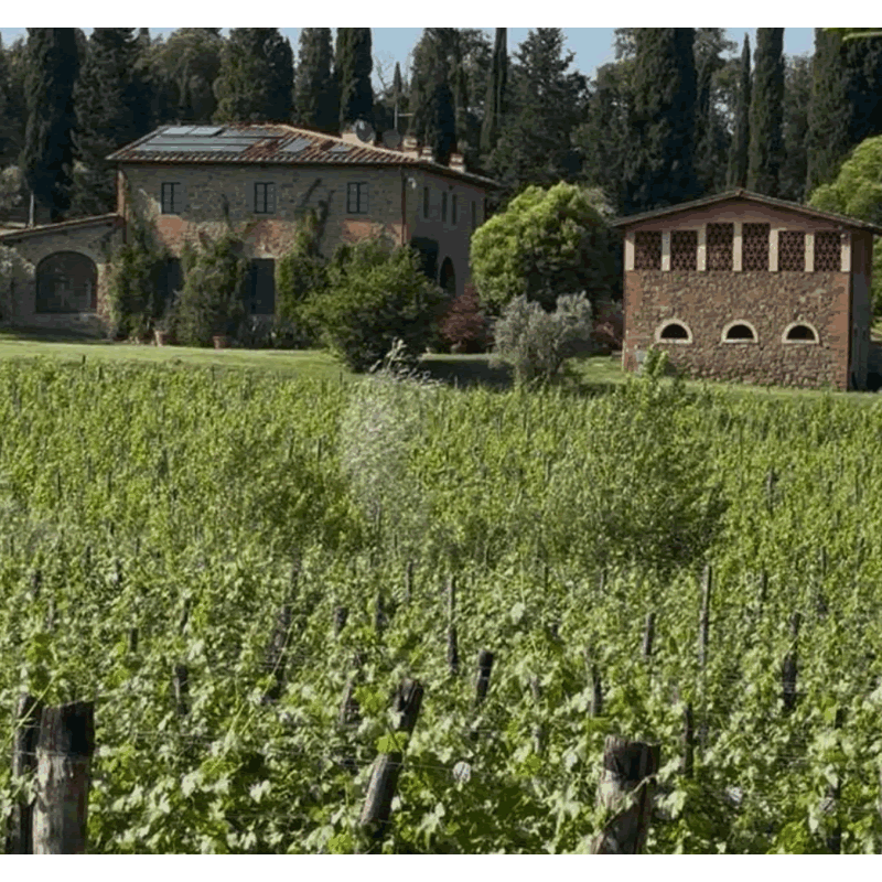Il Palagio, il Poggiale, il Piano e La Torre