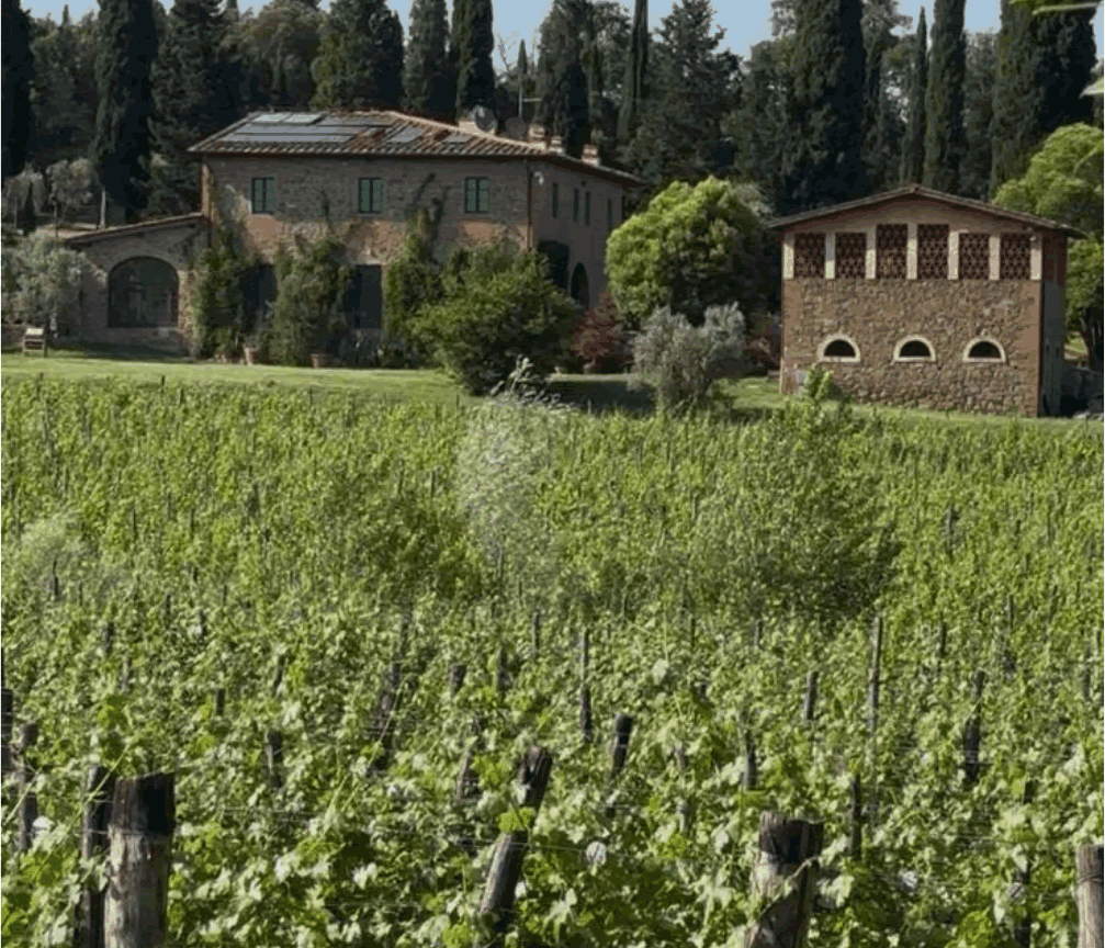 Il Palagio, il Poggiale, il Piano e La Torre