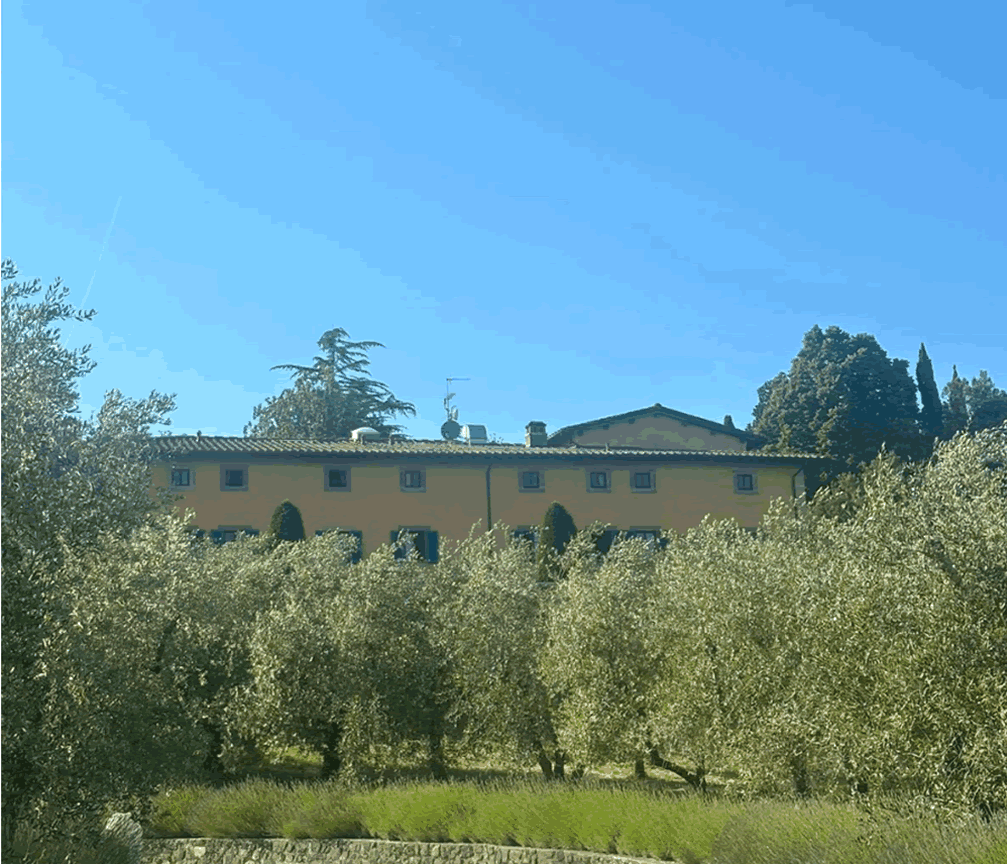 Il Palagio, il Poggiale, il Piano e La Torre