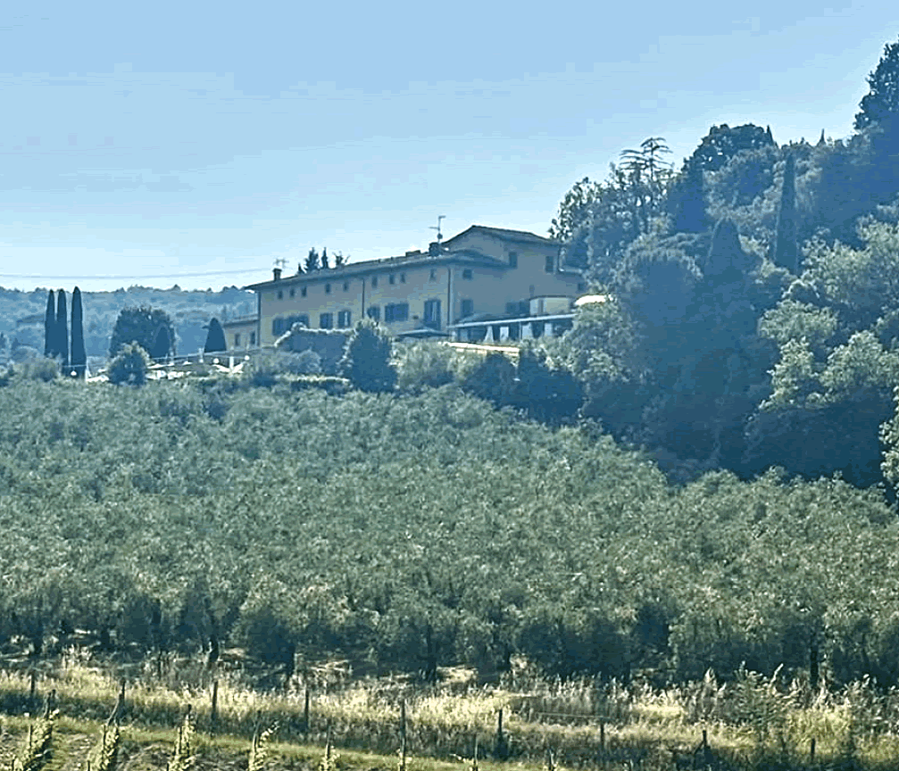 Il Palagio, il Poggiale, il Piano e La Torre